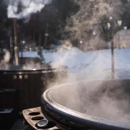 Breza Ξενοδοχείο Μπόροβετς