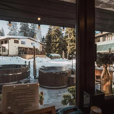 Breza Hotel Borovets